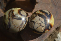 Polished Septerye (Aragonite & Calcite) Palm Stones  x 12 From Madagascar - Toprock Gemstones and Minerals 