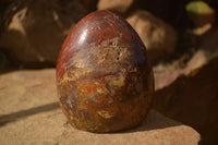 Polished Red Jasper Standing Free Forms  x 4 From Madagascar - Toprock Gemstones and Minerals 