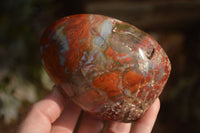 Polished Red Jasper Standing Free Forms  x 4 From Madagascar - Toprock Gemstones and Minerals 