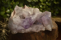 Natural Jacaranda Amethyst Clusters x 2 From Zambia