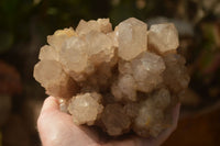 Natural Stunning Smokey Quartz Cluster x 1 From Luena, Congo