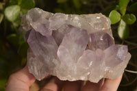 Natural Jacaranda Amethyst Clusters x 2 From Zambia