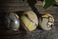 Polished Septerye (Aragonite & Calcite) Palm Stones  x 12 From Madagascar - Toprock Gemstones and Minerals 