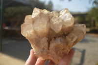 Natural Stunning Smokey Quartz Cluster x 1 From Luena, Congo