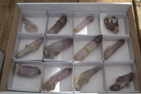 Natural Long Window Amethyst Quartz Crystals  x 12 From Chiredzi, Zimbabwe