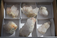 Natural White Spirit Cactus Quartz Specimens  x 6 From Boekenhouthoek, South Africa - Toprock Gemstones and Minerals 