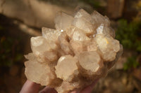 Natural Stunning Smokey Quartz Cluster x 1 From Luena, Congo