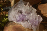 Natural Jacaranda Amethyst Clusters x 2 From Zambia