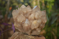 Natural Stunning Smokey Quartz Cluster x 1 From Luena, Congo