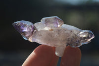 Natural Long Window Amethyst Quartz Crystals  x 12 From Chiredzi, Zimbabwe