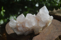 Natural White Spirit Cactus Quartz Specimens  x 6 From Boekenhouthoek, South Africa - Toprock Gemstones and Minerals 