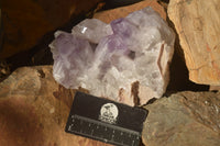 Natural Jacaranda Amethyst Clusters x 2 From Zambia