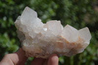 Natural White Spirit Cactus Quartz Specimens  x 6 From Boekenhouthoek, South Africa - Toprock Gemstones and Minerals 