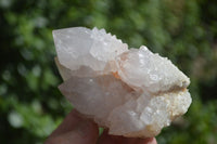 Natural White Spirit Cactus Quartz Specimens  x 6 From Boekenhouthoek, South Africa - Toprock Gemstones and Minerals 