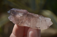 Natural Long Window Amethyst Quartz Crystals  x 12 From Chiredzi, Zimbabwe