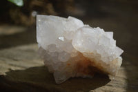 Natural White Spirit Cactus Quartz Specimens  x 6 From Boekenhouthoek, South Africa - Toprock Gemstones and Minerals 