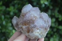 Natural Spirit Amethyst Quartz Clusters  x 3 From Boekenhouthoek, South Africa - Toprock Gemstones and Minerals 