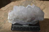 Natural White Spirit Cactus Quartz Specimens  x 6 From Boekenhouthoek, South Africa - Toprock Gemstones and Minerals 