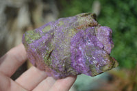 Natural Rough Stichtite & Serpentine Specimens  x 12 From Barberton, South Africa - Toprock Gemstones and Minerals 