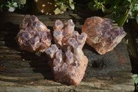 Natural Sugar Amethyst Clusters  x 4 From Zambia - Toprock Gemstones and Minerals 