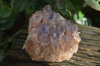 Natural Sugar Amethyst Clusters  x 4 From Zambia - Toprock Gemstones and Minerals 