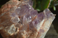 Natural Sugar Amethyst Clusters  x 4 From Zambia - Toprock Gemstones and Minerals 