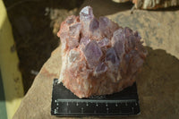 Natural Sugar Amethyst Clusters  x 4 From Zambia - Toprock Gemstones and Minerals 