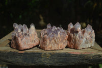 Natural Sugar Amethyst Clusters  x 4 From Zambia - Toprock Gemstones and Minerals 