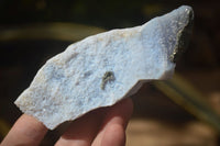 Natural Etched Blue Chalcedony Specimens  x 6 From Nsanje, Malawi