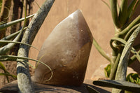 Polished Extra Large Banded Smokey Window Quartz Crystal With Enhydro Water Chamber  x 1 From Zambia - TopRock