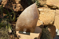 Polished Extra Large Banded Smokey Window Quartz Crystal With Enhydro Water Chamber  x 1 From Zambia - TopRock