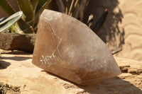 Polished Extra Large Banded Smokey Window Quartz Crystal With Enhydro Water Chamber  x 1 From Zambia - TopRock