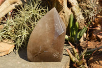 Polished Extra Large Banded Smokey Window Quartz Crystal With Enhydro Water Chamber  x 1 From Zambia - TopRock