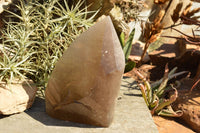 Polished Extra Large Banded Smokey Window Quartz Crystal With Enhydro Water Chamber  x 1 From Zambia - TopRock