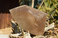 Polished Extra Large Banded Smokey Window Quartz Crystal With Enhydro Water Chamber  x 1 From Zambia - TopRock