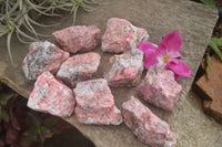 Natural Rough Red Rhodonite Cobbed Specimens  x 12 From Zimbabwe - TopRock