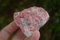 Natural Rough Red Rhodonite Cobbed Specimens  x 12 From Zimbabwe - TopRock