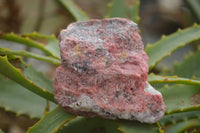 Natural Rough Red Rhodonite Cobbed Specimens  x 12 From Zimbabwe - TopRock