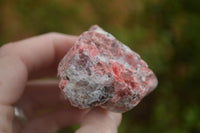 Natural Rough Red Rhodonite Cobbed Specimens  x 12 From Zimbabwe - TopRock