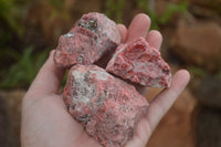 Natural Rough Red Rhodonite Cobbed Specimens  x 12 From Zimbabwe - TopRock