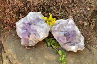 Natural Pale Jacaranda Amethyst Quartz Clusters x 2 From Mumbwe, Zambia - TopRock