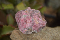 Natural Rough Red Rhodonite Cobbed Specimens  x 12 From Zimbabwe - TopRock