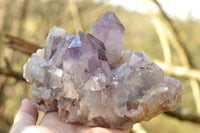 Natural Pale Jacaranda Amethyst Quartz Clusters x 2 From Mumbwe, Zambia - TopRock