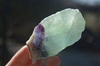 Natural Cobbed Watermelon Fluorite Specimens  x 24 From Uis, Namibia