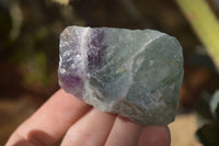 Natural Cobbed Watermelon Fluorite Specimens  x 24 From Uis, Namibia