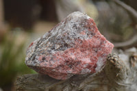 Natural Rough Red Rhodonite Cobbed Specimens  x 12 From Zimbabwe - TopRock