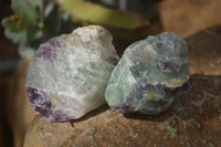 Natural Cobbed Watermelon Fluorite Specimens  x 24 From Uis, Namibia