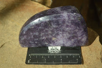 Polished Deep Purple Lepidolite Free Forms  x 2 From Ambatondrazaka, Madagascar - Toprock Gemstones and Minerals 