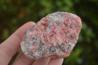 Natural Rough Red Rhodonite Cobbed Specimens  x 12 From Zimbabwe - TopRock