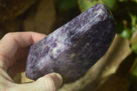 Polished Deep Purple Lepidolite Free Forms  x 2 From Ambatondrazaka, Madagascar - Toprock Gemstones and Minerals 